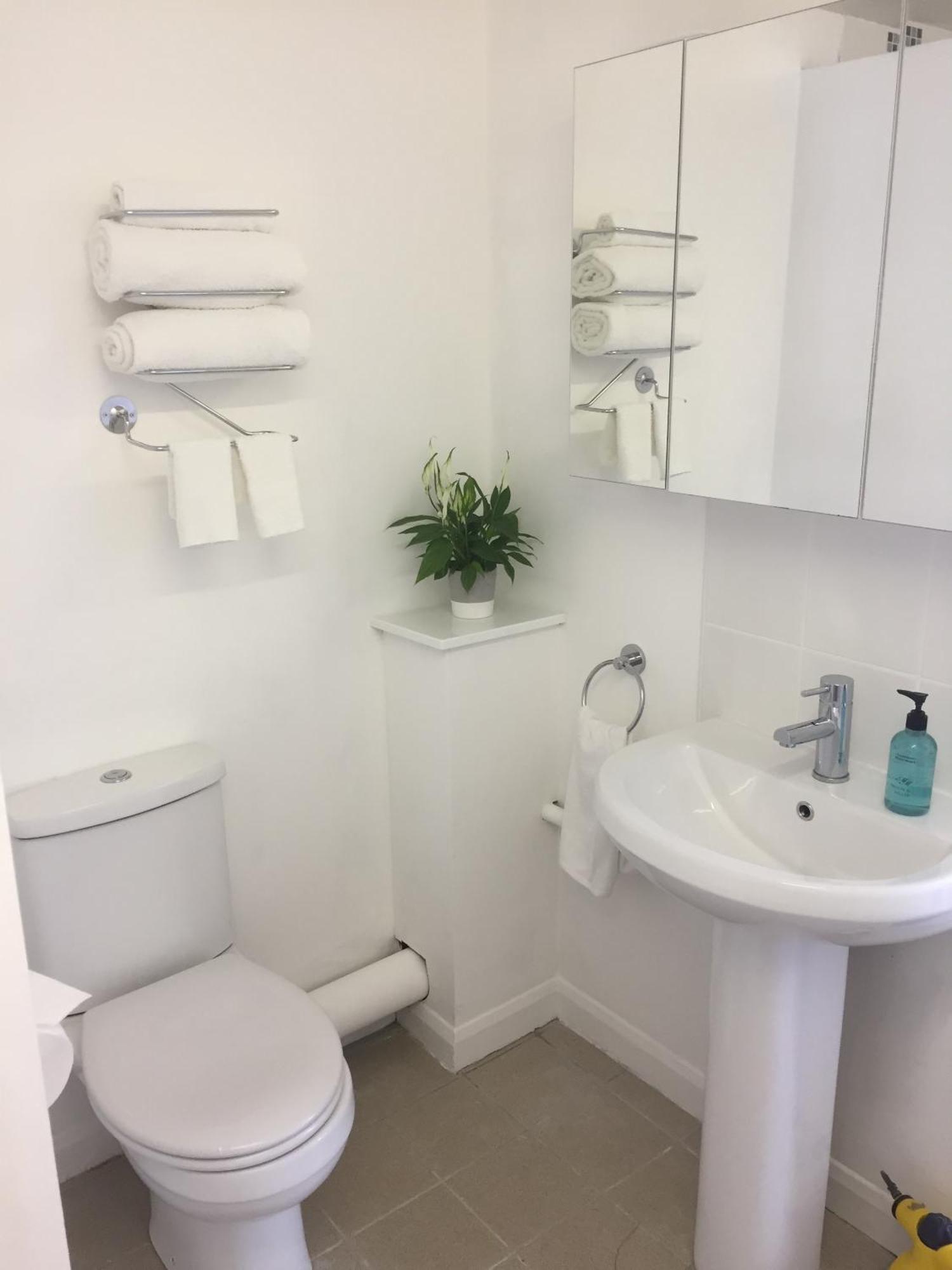 Basingstoke En Suite Room In Garden Annex Eksteriør bilde
